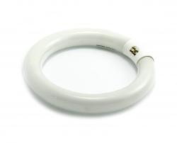 Świetlówka okrągła T9/22W/G10q/6000K 216mm