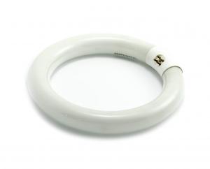 Świetlówka okrągła T9/22W/G10q/6000K 216mm