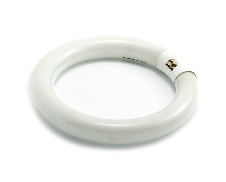 Świetlówka okrągła T9/22W/G10q/6000K 216mm