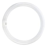 Świetlówka okrągła T5/22W 6500K 183mm